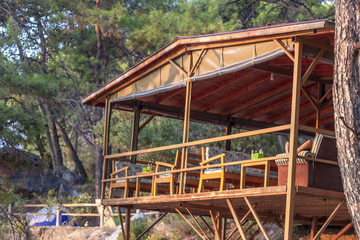 Clean shoot for wooden pergola in the forest for relaxing