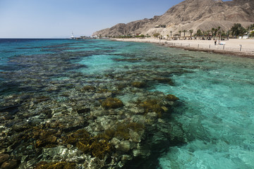 Coral reef in Eilat, Israel, Red Sea