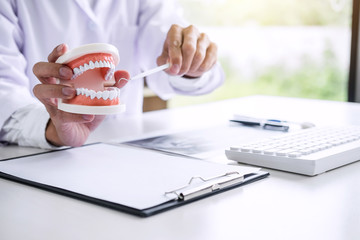 Dentist hand holding of jaw model of teeth and cleaning dental with dental tool