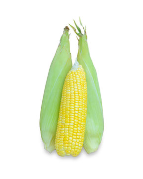 Fresh corn set isolated on white background.