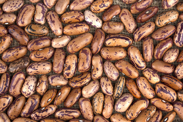 Haricot bean close background with high resolution