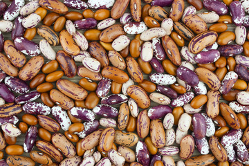 Haricot bean close background with high resolution