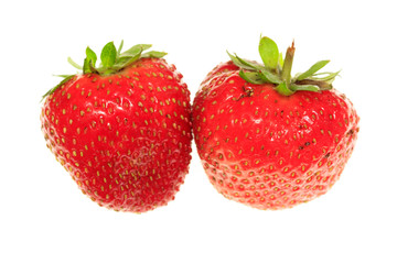 Two ripe strawberries on a white background