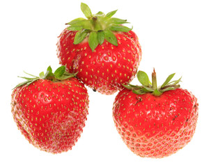Ripe red strawberry on a white background