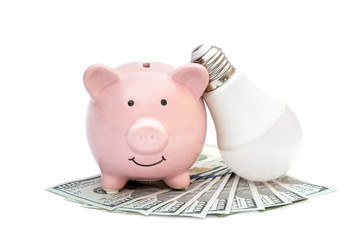 piggy bank with light bulb and money on white.