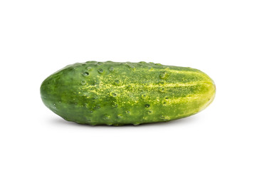 Cucumber on white background.