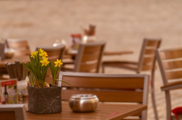 Street view with cafe terrace during the morning in European city
