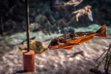 Aquarium in Seville, Andalusia, Spain.