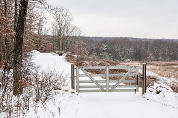 Gate Across Snowy Lane