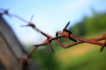 Barbed wire on the fence
