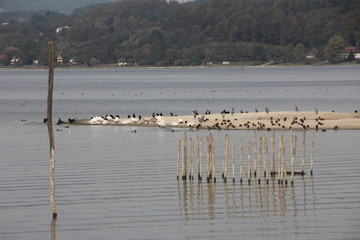 Bodensee Stille