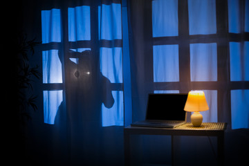 Shadow or silhouette of thief