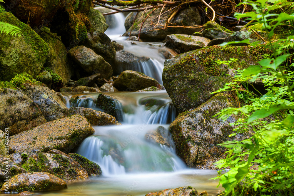 Wall mural waterfall on brook