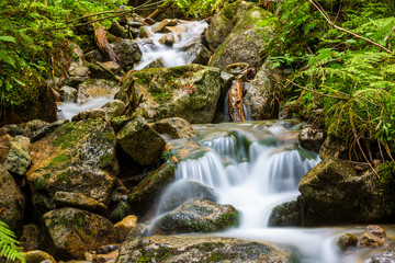 mountain brook among wet stones
