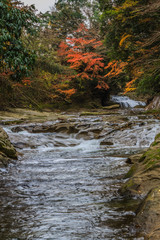  	秋の養老渓谷の風景