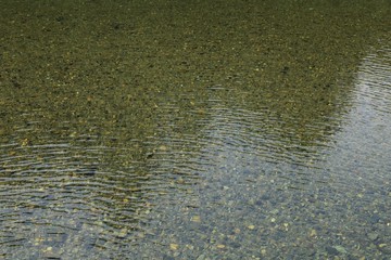 透明な山村の河川の水