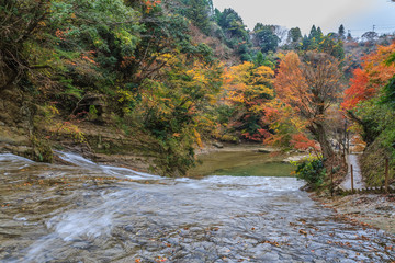 上流から見た秋の養老渓谷の粟又の滝の風景