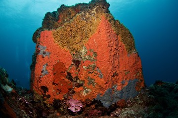 Rocher rouge, red rock
