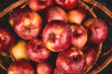 Fresh organic red apples in a basket
