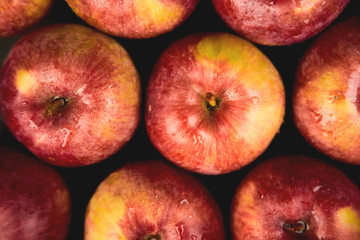 Fresh organic red apples on black background.