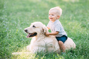 Little child playing with Labrador retriever dog together in wood