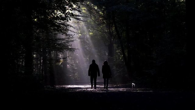 couple walking the dog, silhouetted against sunbeam in dark foggy forest