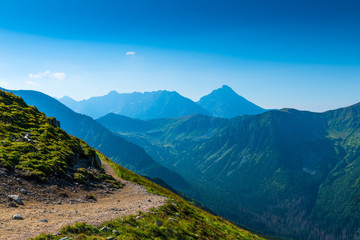 Sunny summer day on a high mountain in the Tatra Mountains, Poland