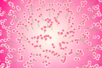 x-ray image of a flower isolated on pink , the Dahlia