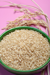 Bowl with organic brown uncooked rice and dried rice plant on pink background