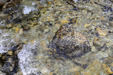 Mountain river. The texture of the rocky bottom is visible.