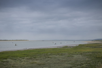 Carmarthen Bay estuary at low tide