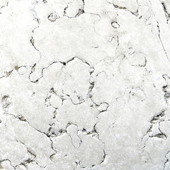 white marble texture