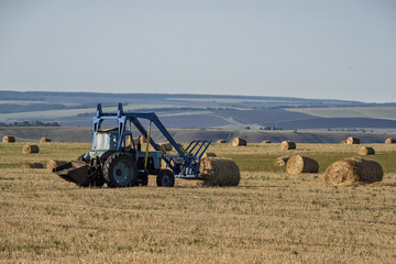 farm work in autumn on the field
