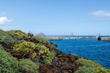 Beautiful landscape with view of the rocky coastline, atlantic ocean and marina San Miguel. Typical vegetetion of the Canary Islands in the foreground. Tenerife South, Canary Islands, Spain. 