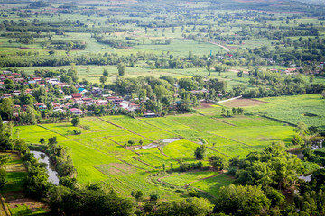 Landscape photo of rice and village in thailand