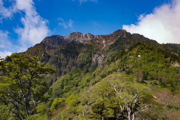 石鎚山