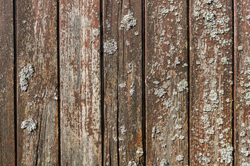 Texture of weathered brown wooden planks with cracks and cement mortar stains. Abstract wooden background