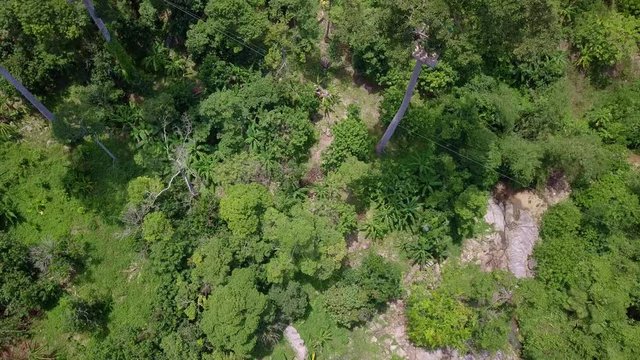 Aerial View of Tourists Riding on Zipline or Canopy Rope. Adrenaline Adventure on Vacation