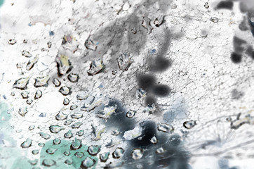 Morning dew, background