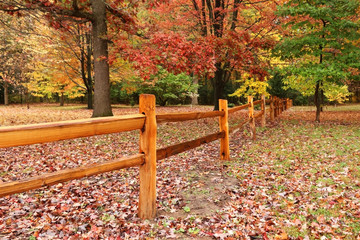 Beautiful autumn nature background. Scenic landscape with old style wooden logs fence between colorful trees in an autumn forest during rainy day. Colors of the fall.