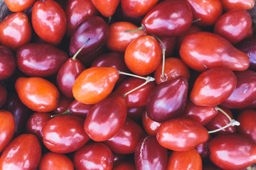 Dogwood (cornelian cherry, dog-tree). Background.