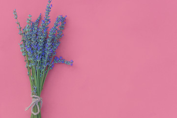Bouquet of lavender flowers on red background with copy space