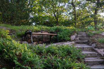 Park bench in botanical garden