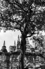 Black and white Photography : Historical attractions and historic sites in Thailand / Historic sites in Chiang Mai the province is the second largest in Bangkok