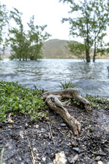 River of catalonia riverbank