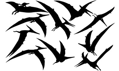 Pteranodon Dinosaur svg files cricut,  silhouette clip art, Vector illustration eps, Black  overlay © Loveleen