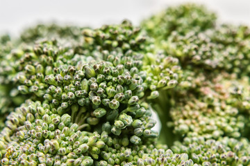 Inflorescence of green broccoli close, selective focus