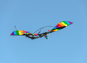 Colored kite flying in the blue sky, wings close up