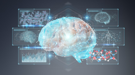 Digital 3D projection of a human brain 3D rendering © sdecoret