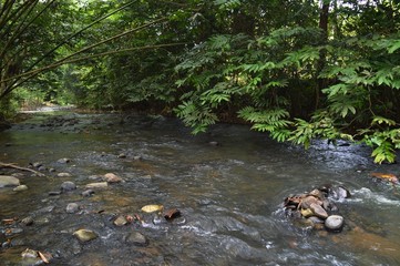 a scenic river